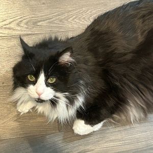 Meet your Posher, Aurora